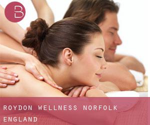 Roydon wellness (Norfolk, England)