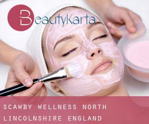 Scawby wellness (North Lincolnshire, England)